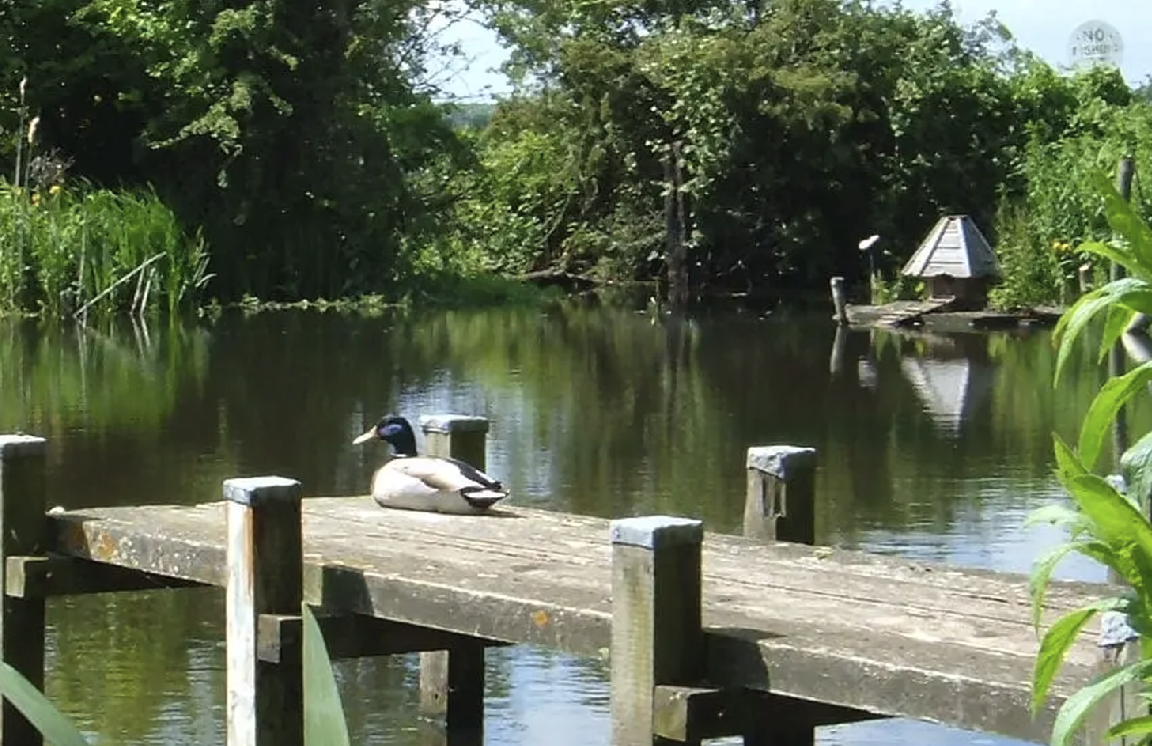 Biddenham Village Pond